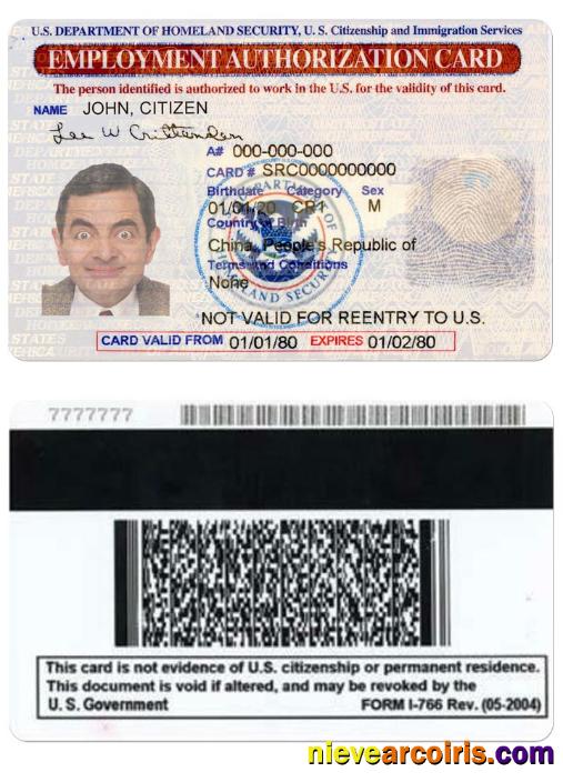 UNITED STATES employment authorization card